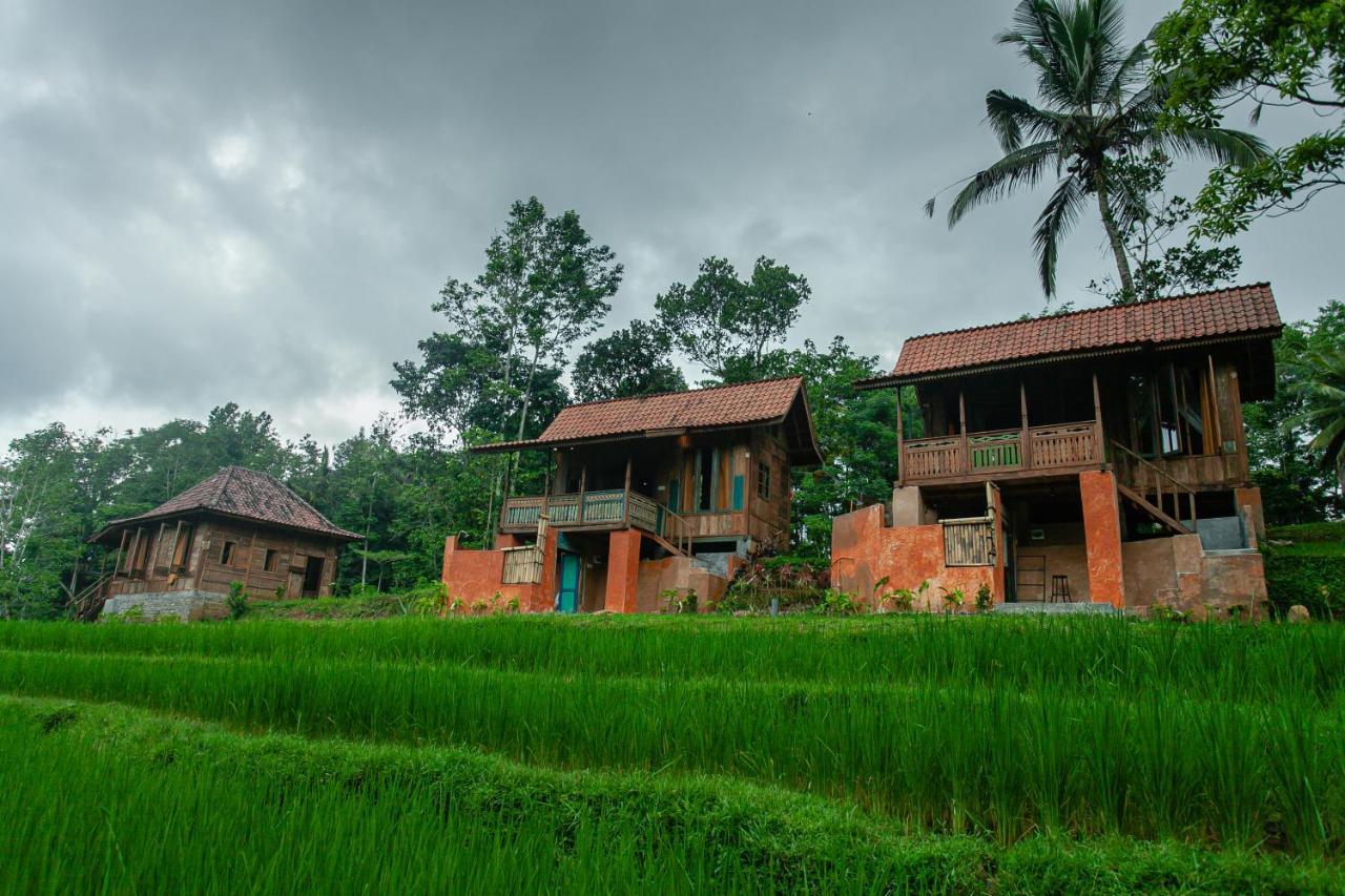 Tepi Sawah Lodge & Retreat Jatiluwih Exteriér fotografie