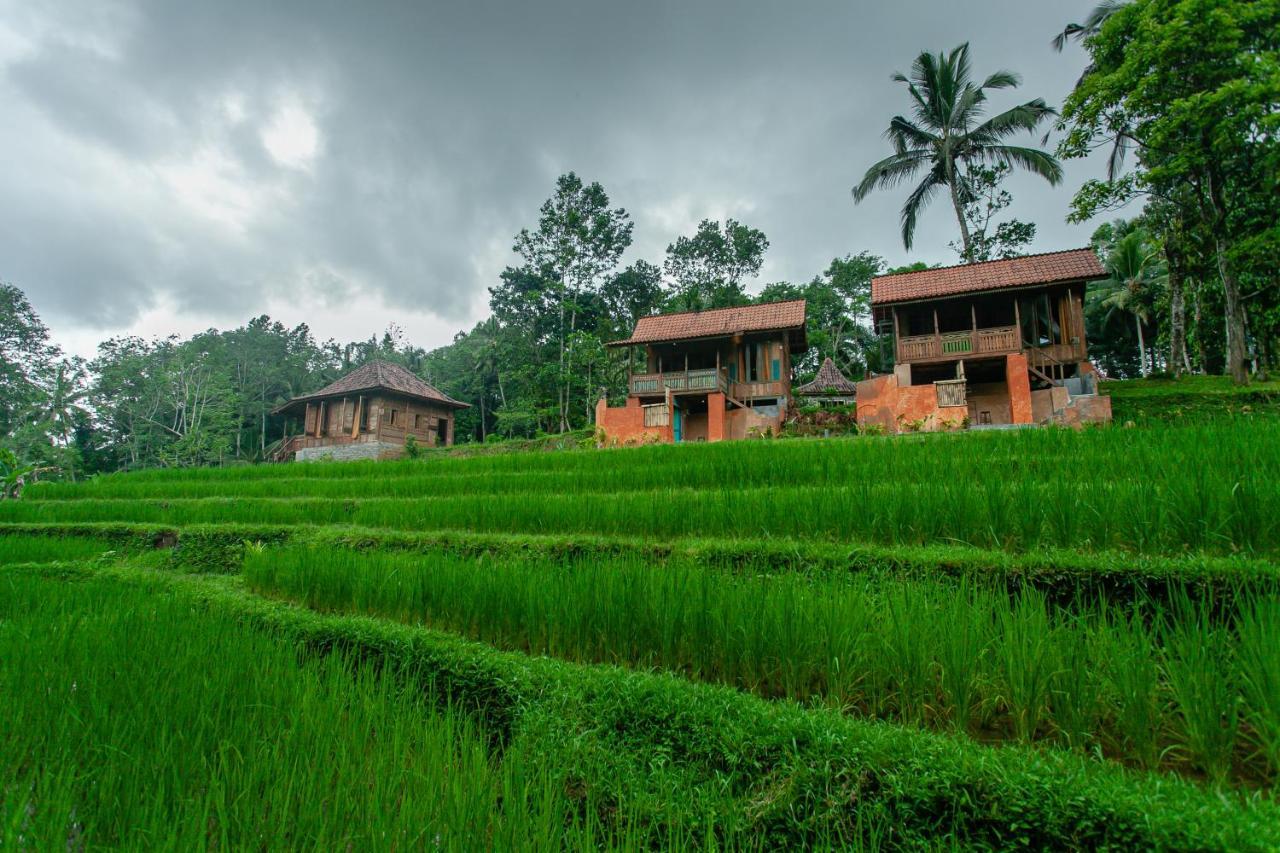 Tepi Sawah Lodge & Retreat Jatiluwih Exteriér fotografie