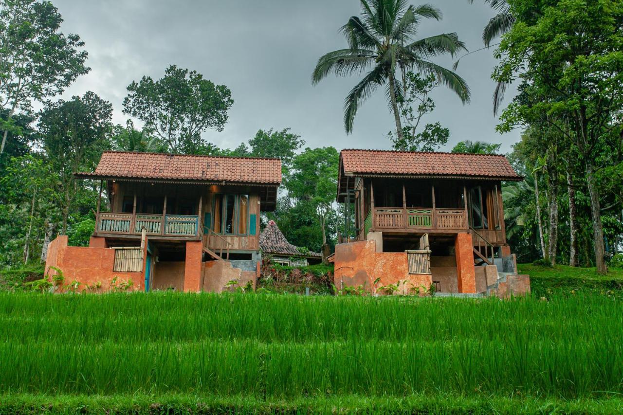 Tepi Sawah Lodge & Retreat Jatiluwih Exteriér fotografie